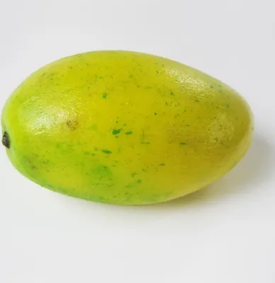 25082313564695